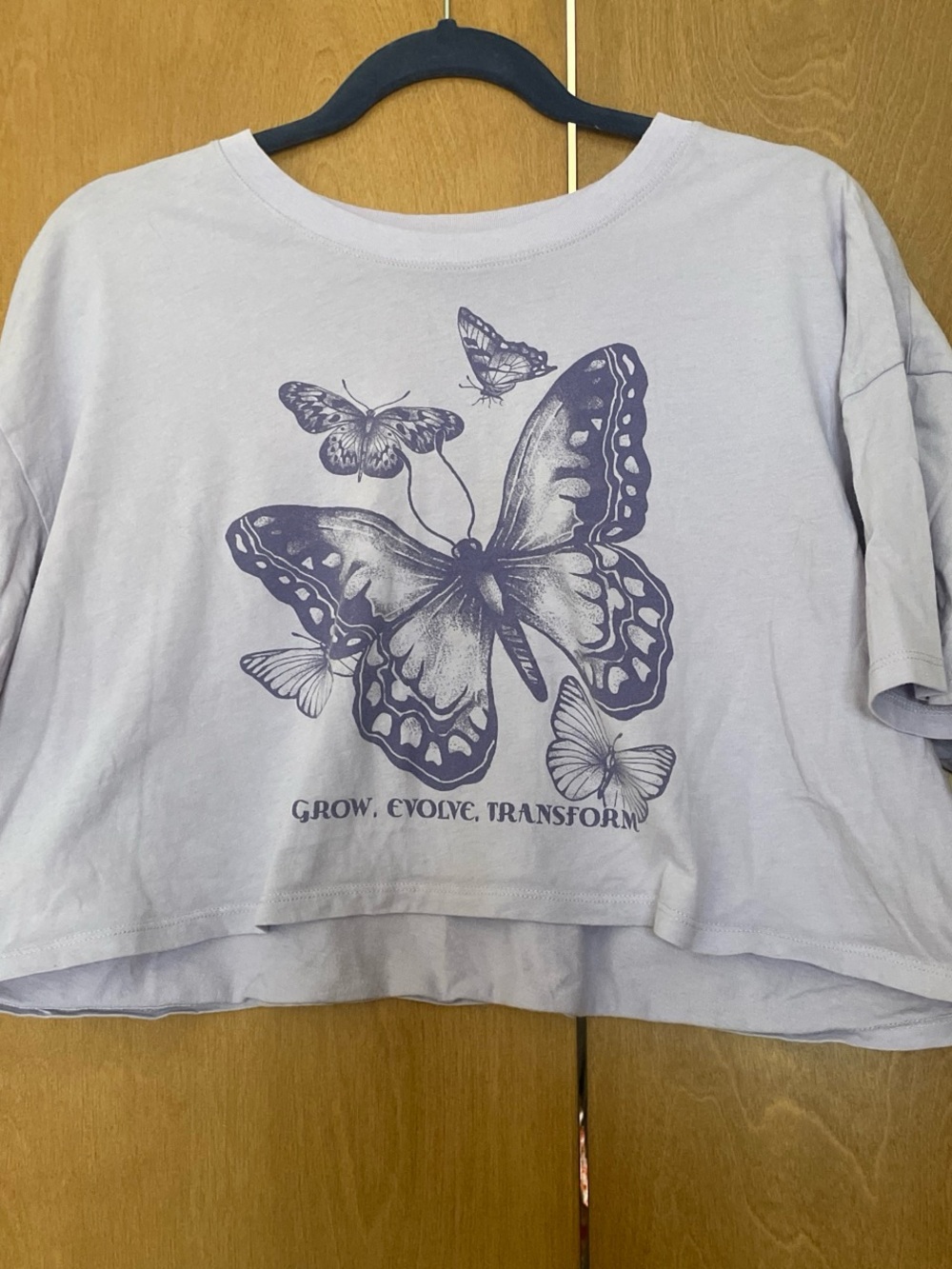 Hollister Lilac Butterfly Graphic Crop Tee